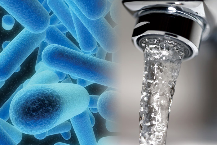 Legionella e Addolcitore acqua per il calcare
