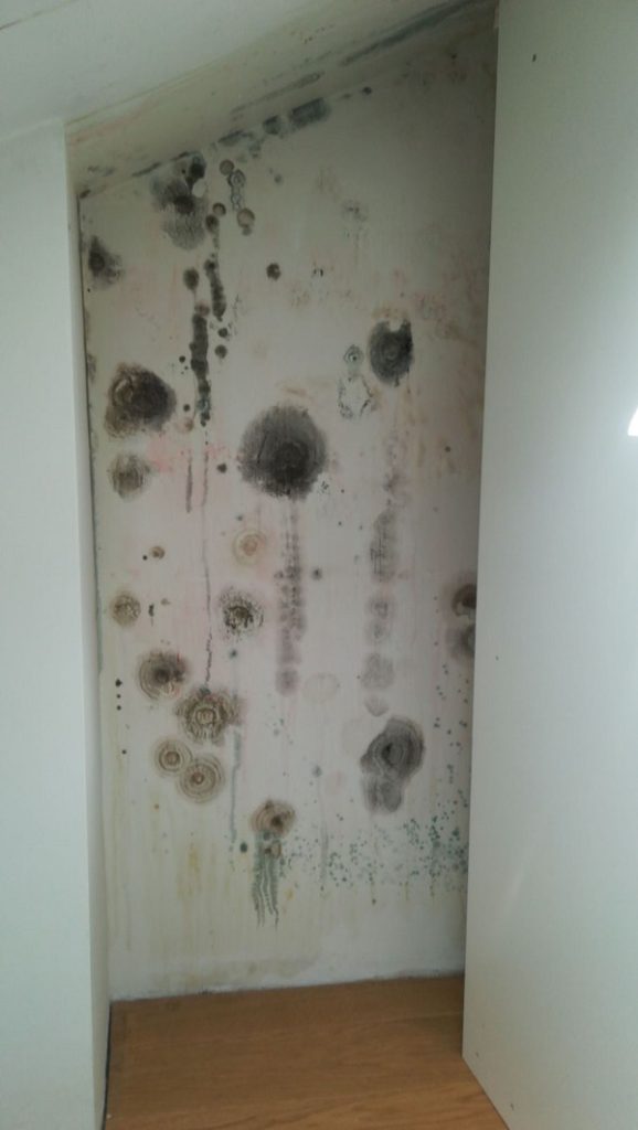 umidità di condensa e muffa su muro freddo