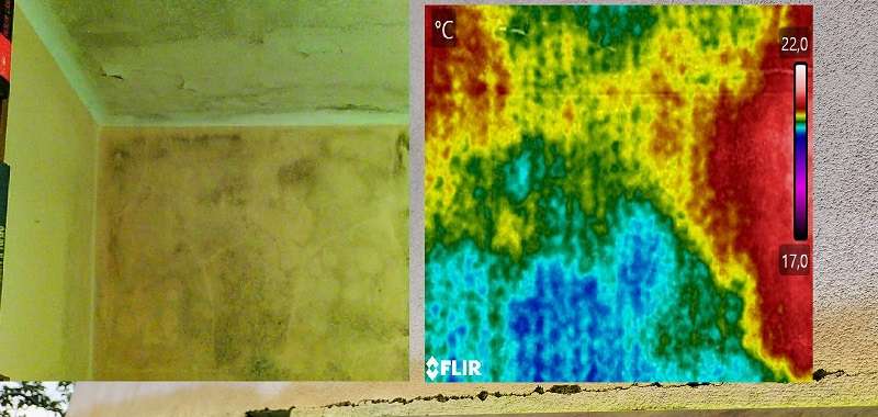 infiltrazione che causa muffa in parete