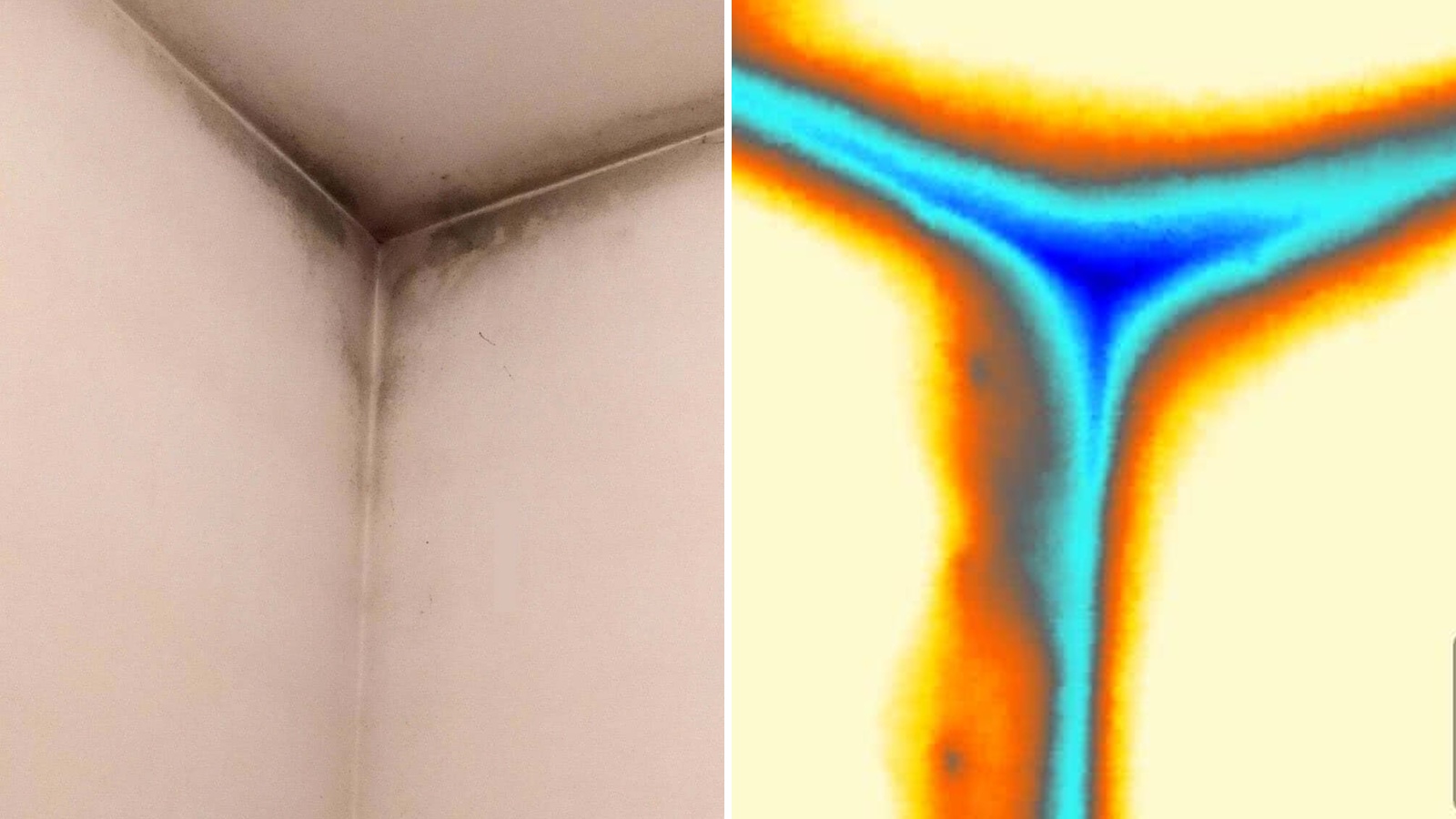 Termografia affiancata a foto reale di un angolo con muffa da condensa e ponte termico